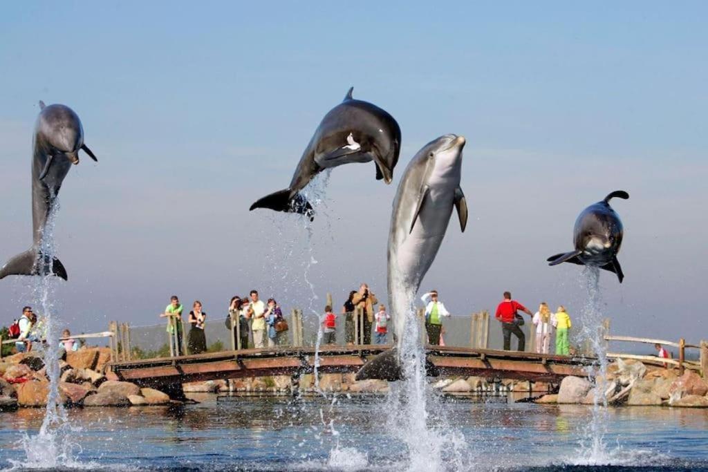Villa Riverside Met Hottub, Eigen Aanlegsteiger, Zwemtrap, Trampoline En Kano'S ゼーウォルデ エクステリア 写真